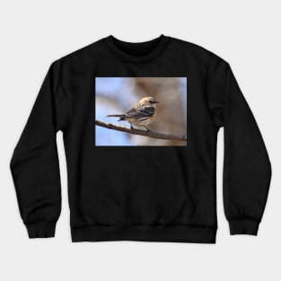 Yellow rumped Warbler Crewneck Sweatshirt